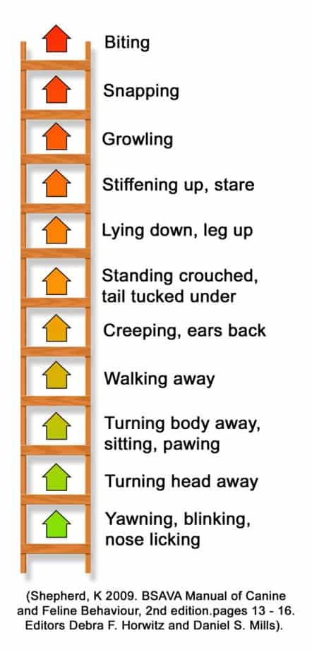 chart of ladder aggression in dogs