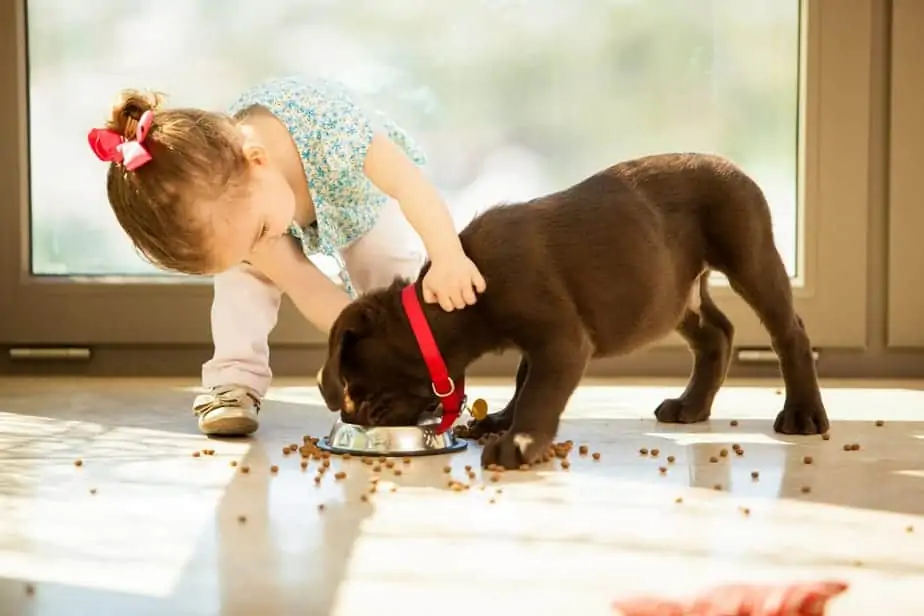 girl with puppy eating kibble