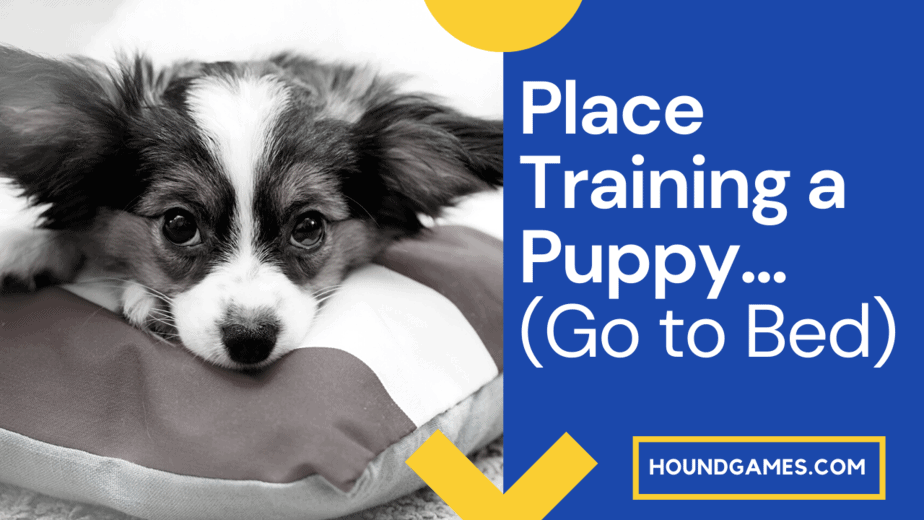 Place Training a Puppy: (Guided Instructions)