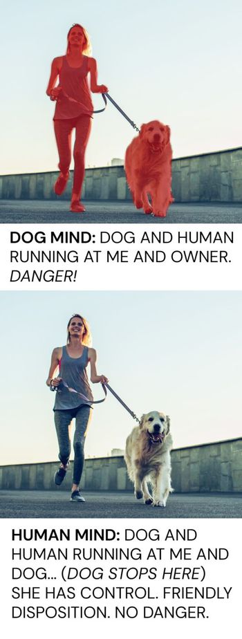 anxious dog-mind-vs-human-mind