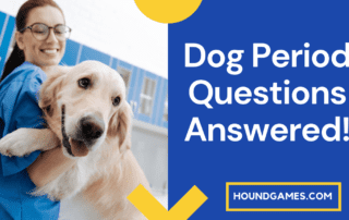 dog period questions answered vet