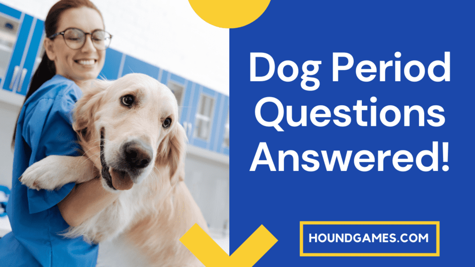 dog period questions answered vet