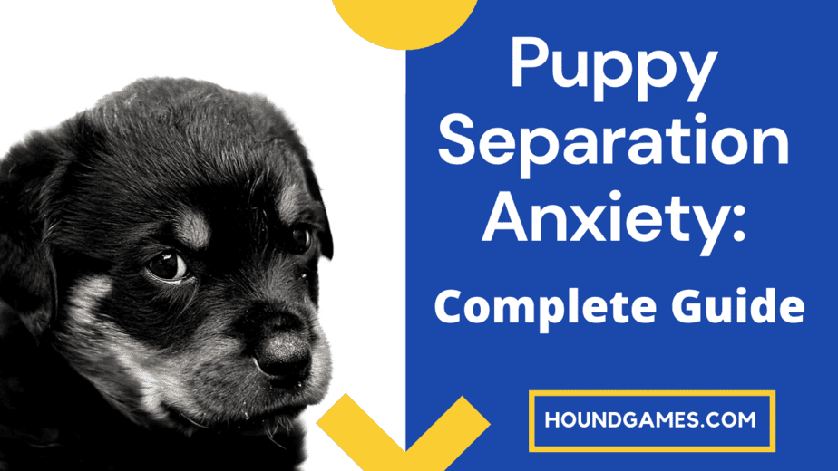 puppy separation anxiety Complete Guide