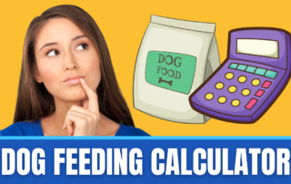 dog feeding calculator
