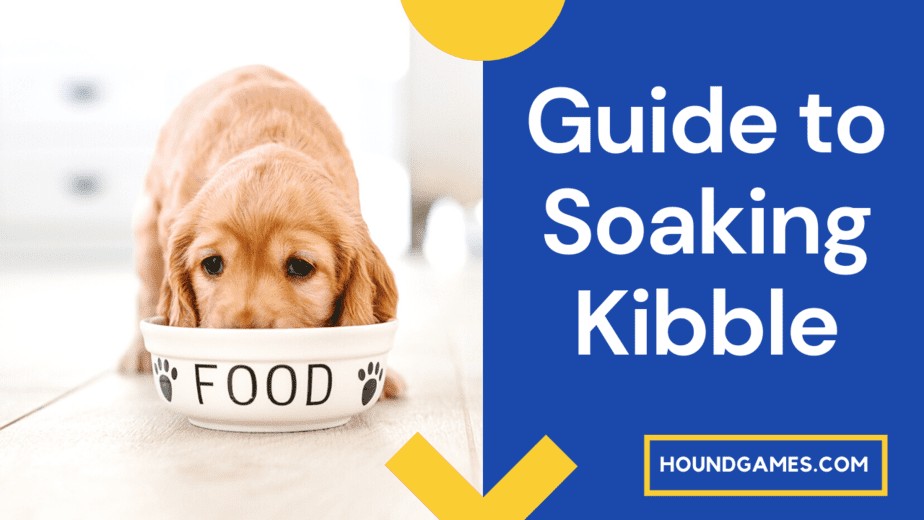 guide to soaking kibble