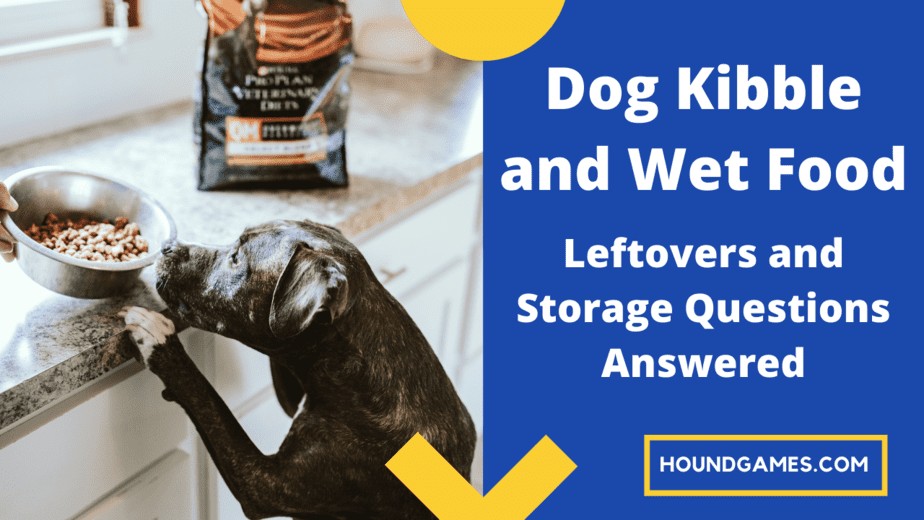 leftover kibble and dog food storage
