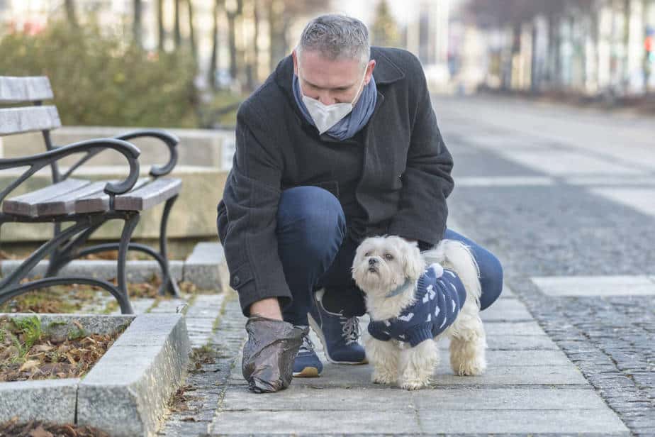 man picking up dog poop diarrhea on cement