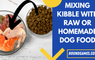 mixing kibble and raw or homemade dog food