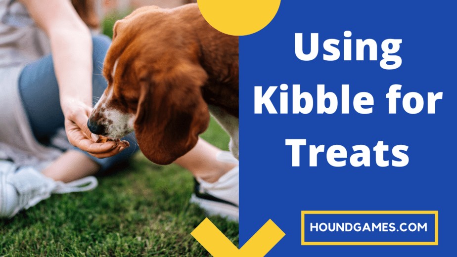 using kibble for treats