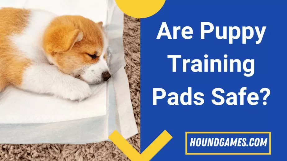 are puppy training pads safe