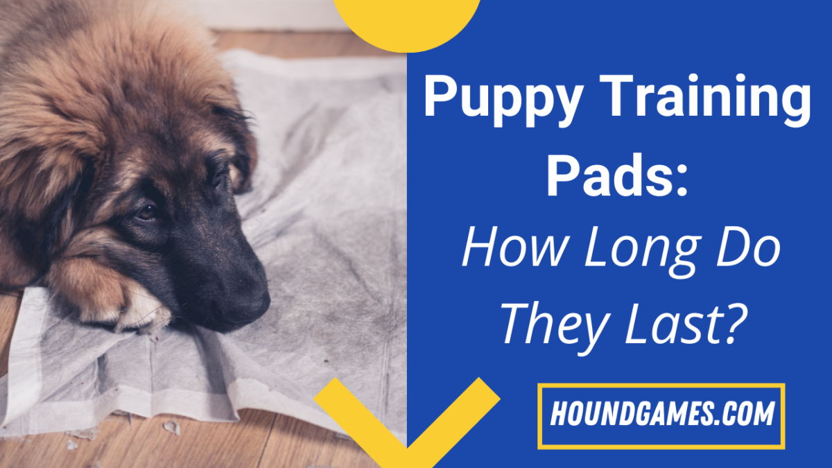 How Long Do Puppy Training Pads Last? (Answered) HoundGames