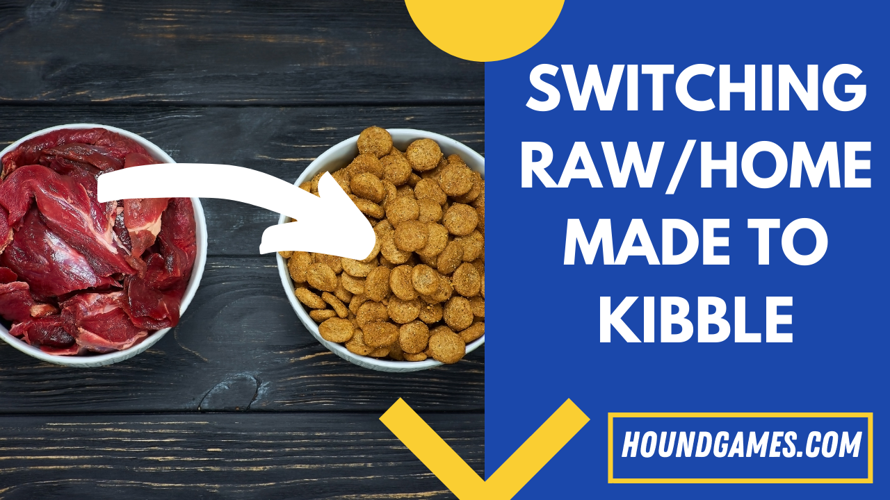 switching raw to kibble