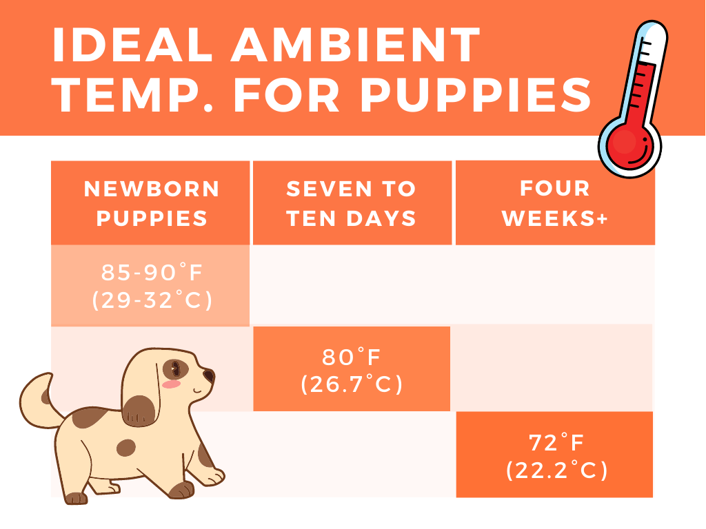 Newborn-Puppy-Temperature-Requirement-Infographic