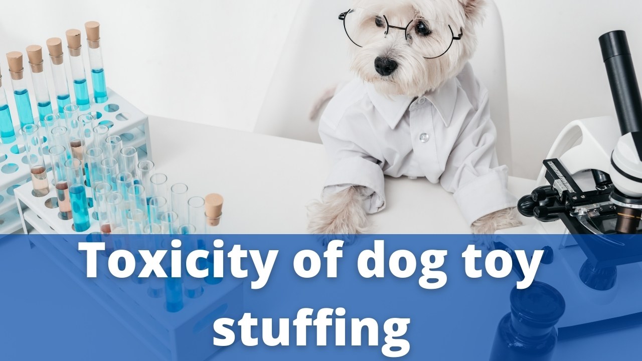 Toxicity of dog toy stuffing