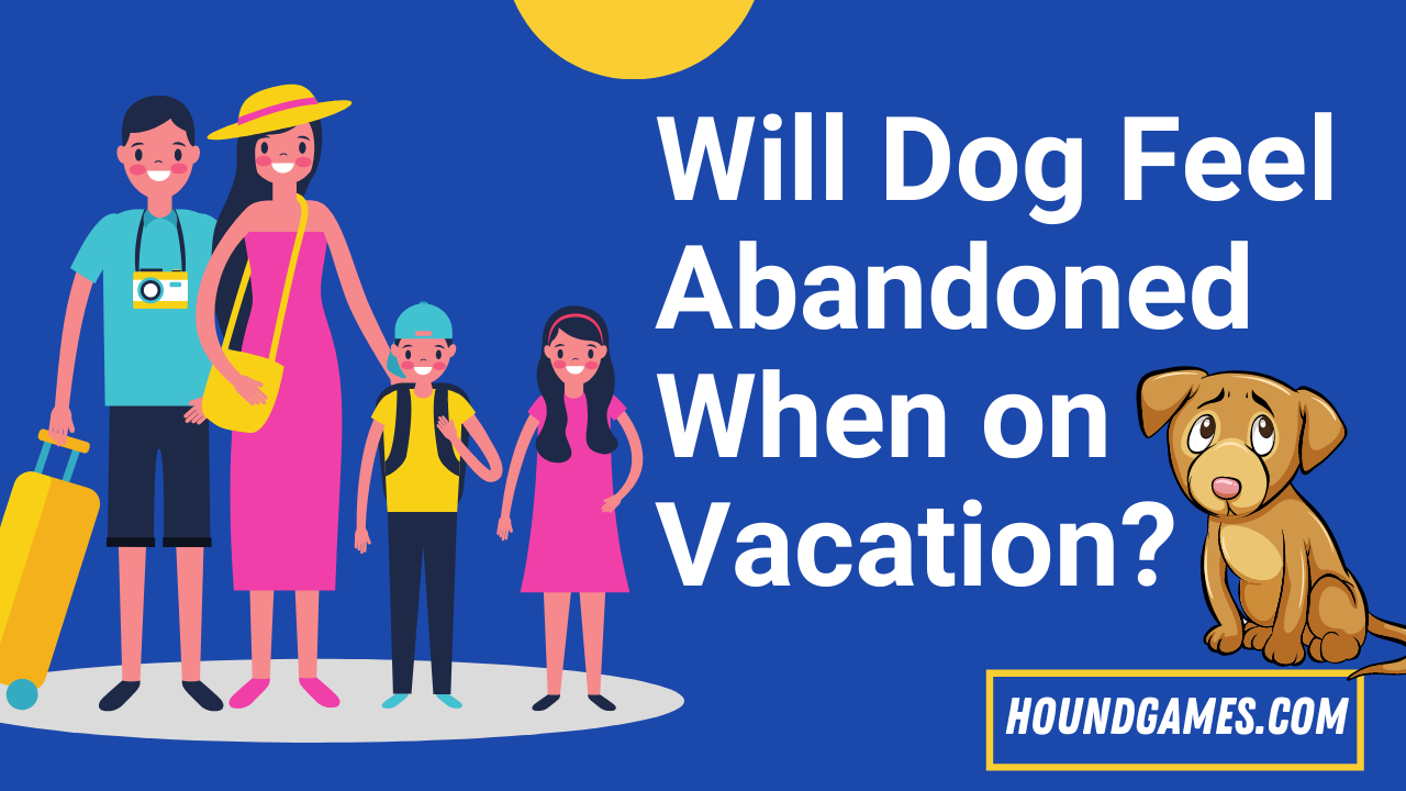 dog feel abandoned when on vacation