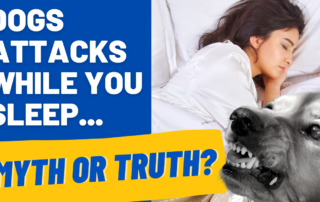dog attacks while you sleep