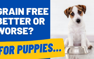 grain free better for puppies or not