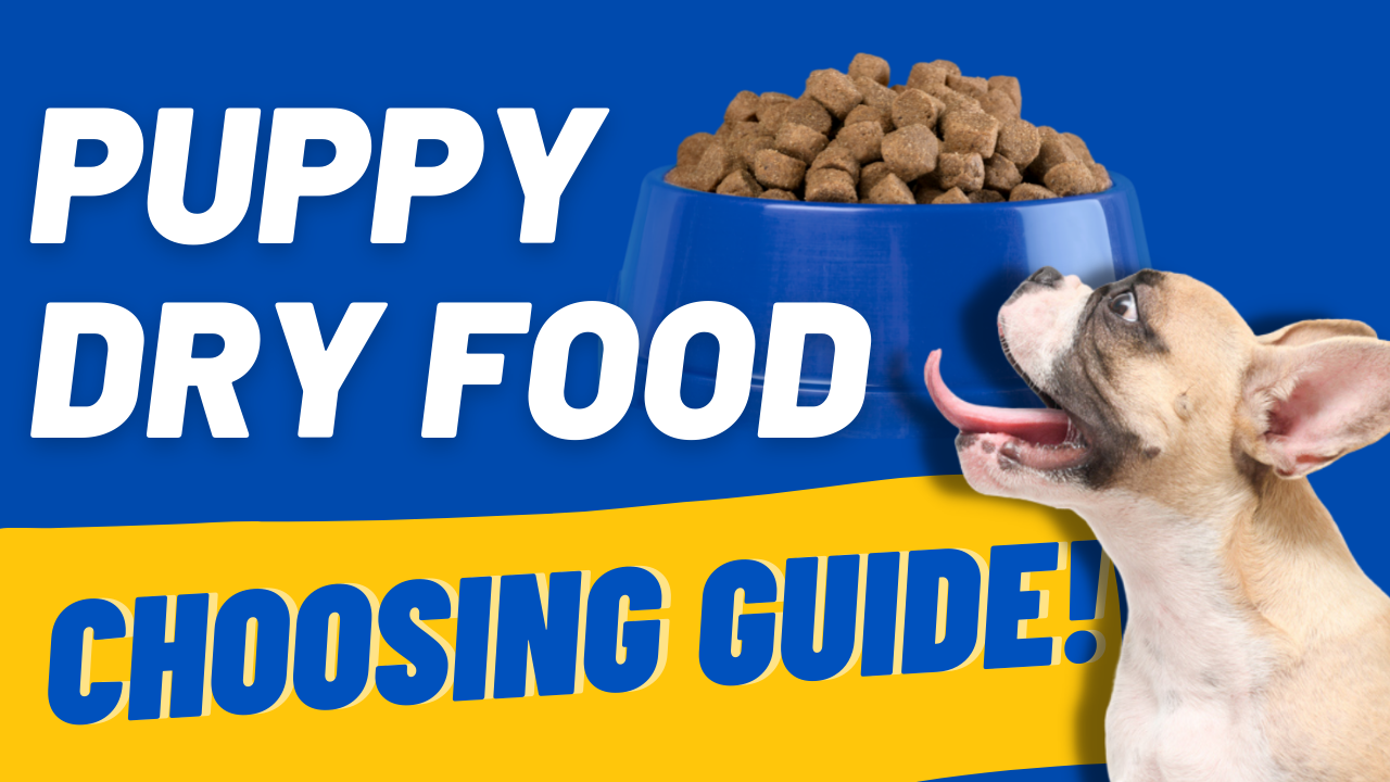 puppy dry food best choices
