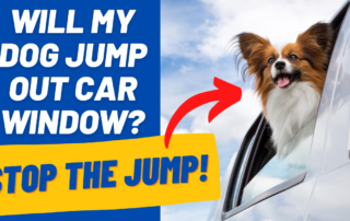 will dog jump out car