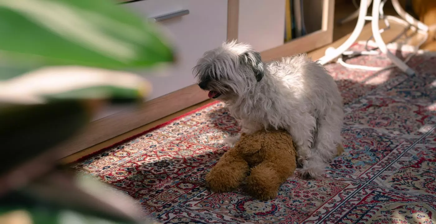 dog humping stuffed toy
