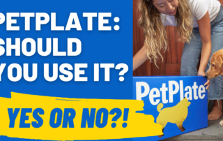 petplate should you use it