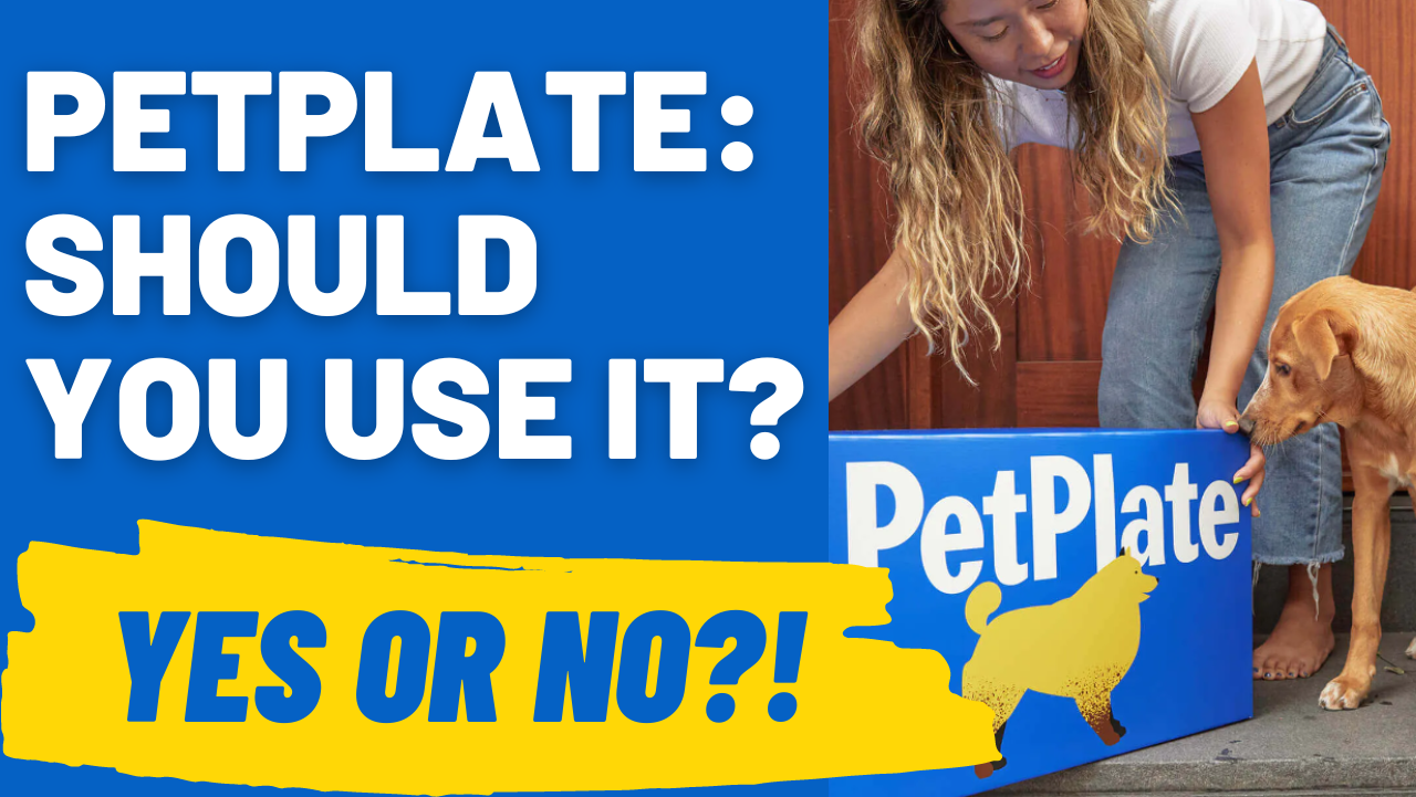 petplate should you use it