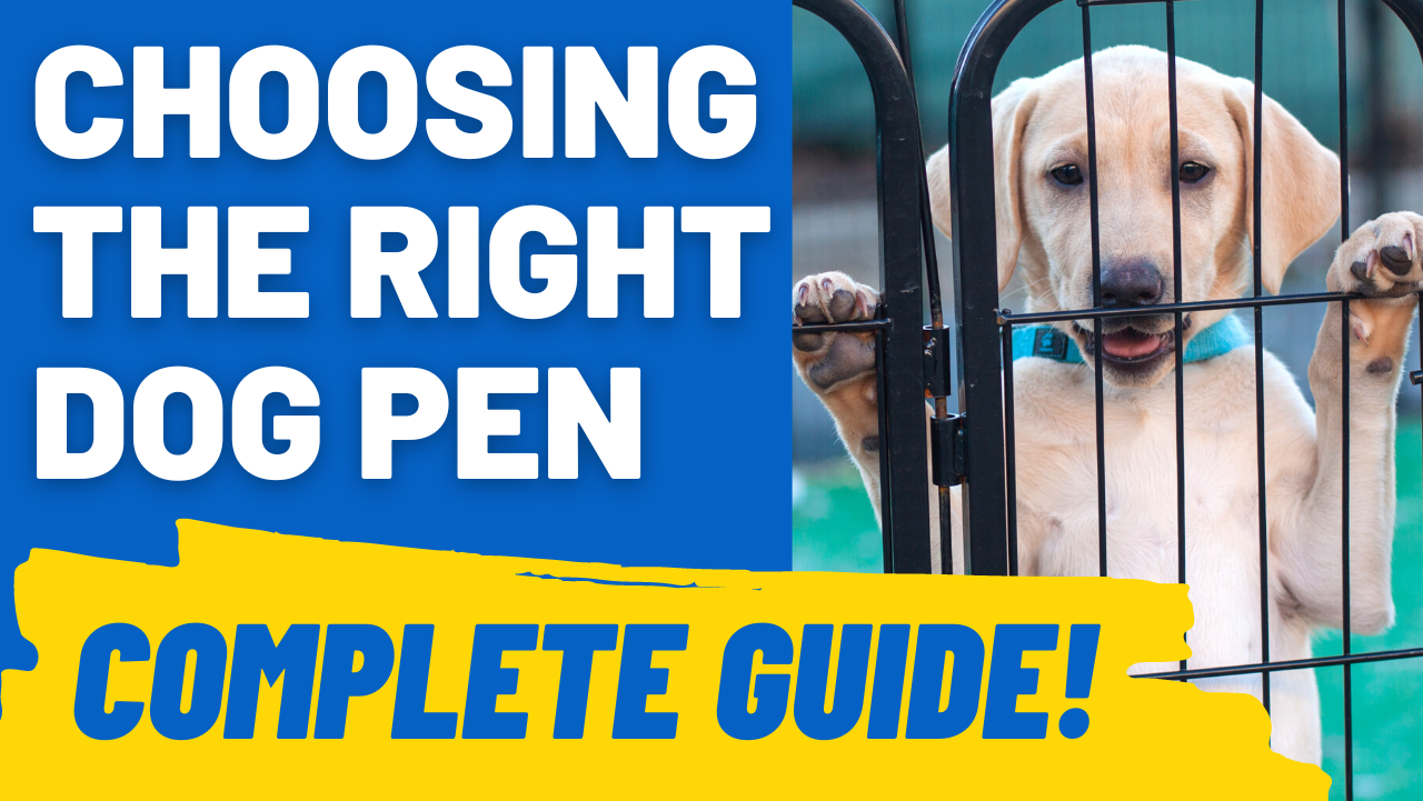 choosing the right dog pen