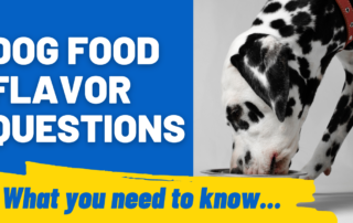 dog food flavor questions