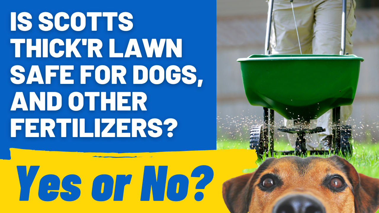 scottss lawn fertilizer ok for dogs