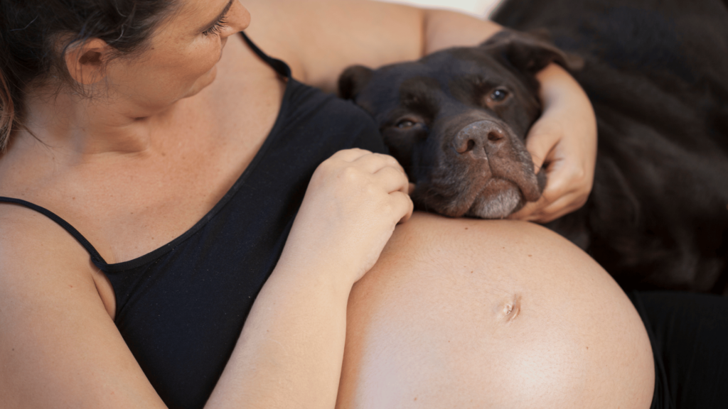 Pregnant woman hugging dog 