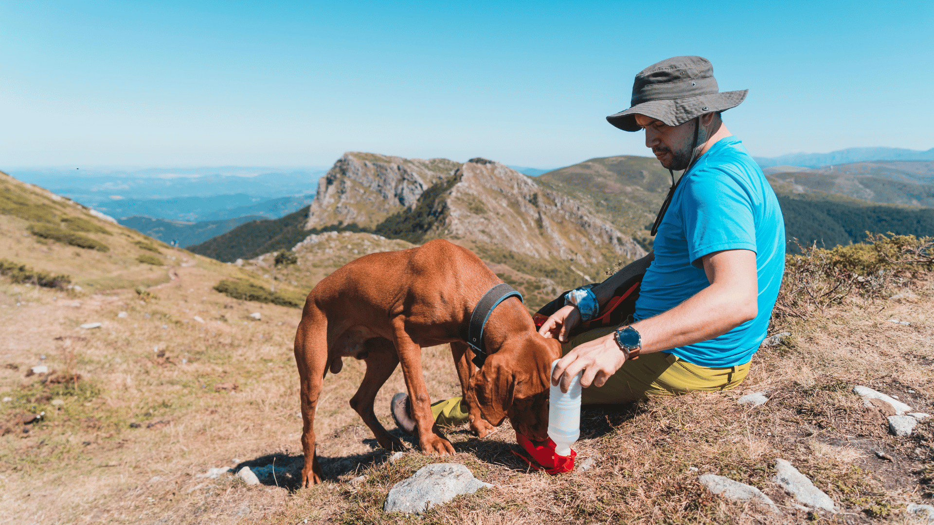 Hiker giving dog water