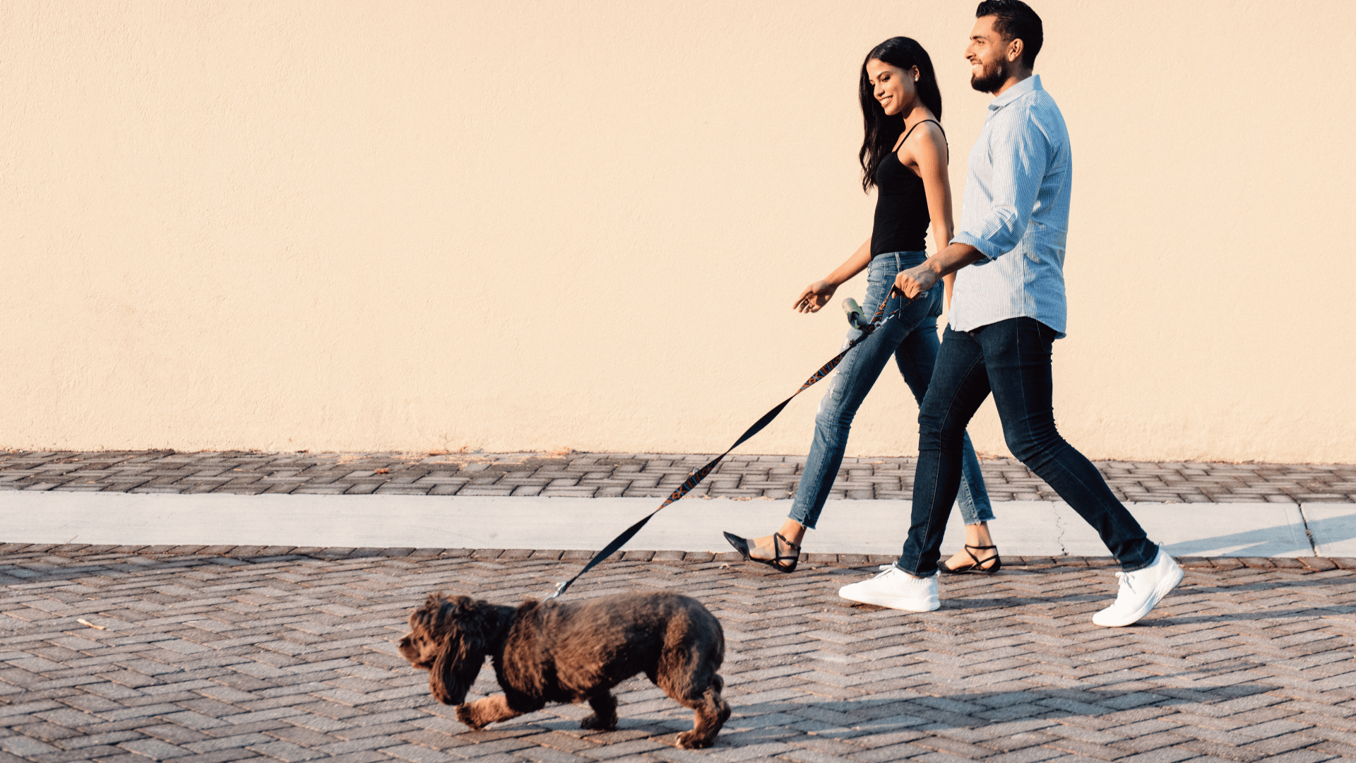 Couple walking dog in the summer