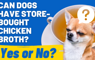 can dogs have store bought broth