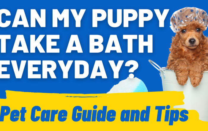 Puppy take bath everyday