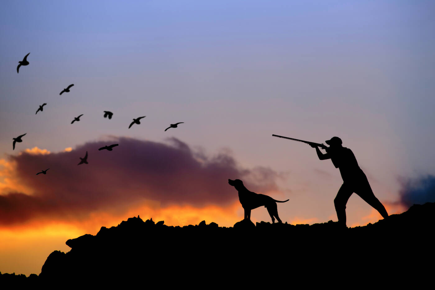 hunting-rifle-with-hunting-dog