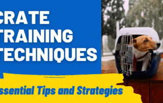 Crate Training Techniques Essential Tips and Strategies for Effective Crate Training