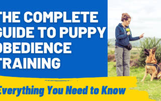 The Complete Guide to Puppy Obedience Training Building a Foundation for Good Behavior