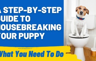A Step-by-Step Guide to Housebreaking Your Puppy