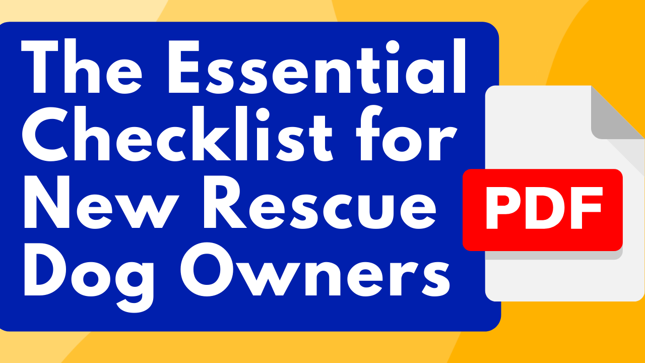 Checklist for New Rescue Dog Owners