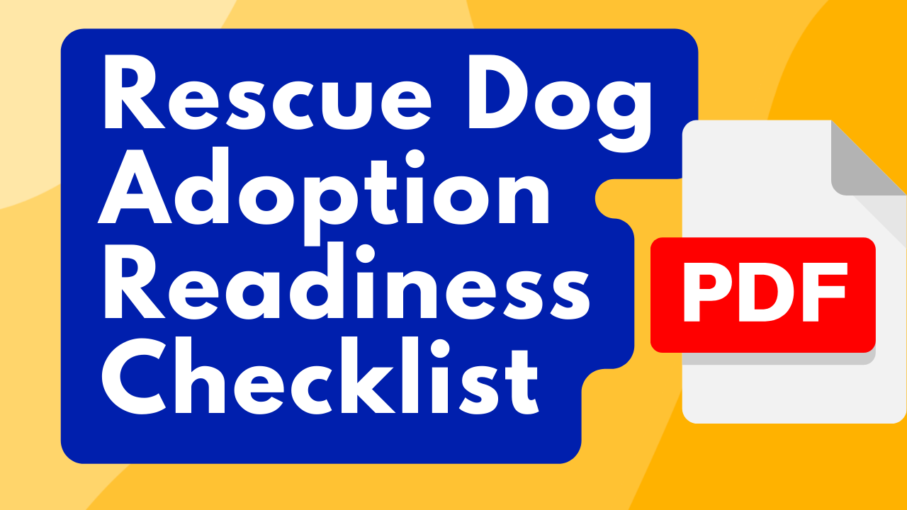 Rescue Dog Readiness Checklist