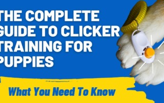 The Complete Guide to Clicker Training for Puppies