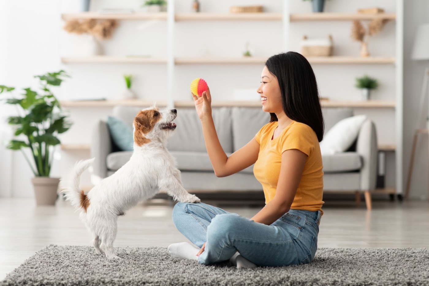 dog and owner playing with a ball