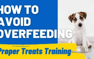 How to Avoid Overfeeding