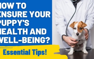 How to Ensure Your Puppy's Health and Well-being