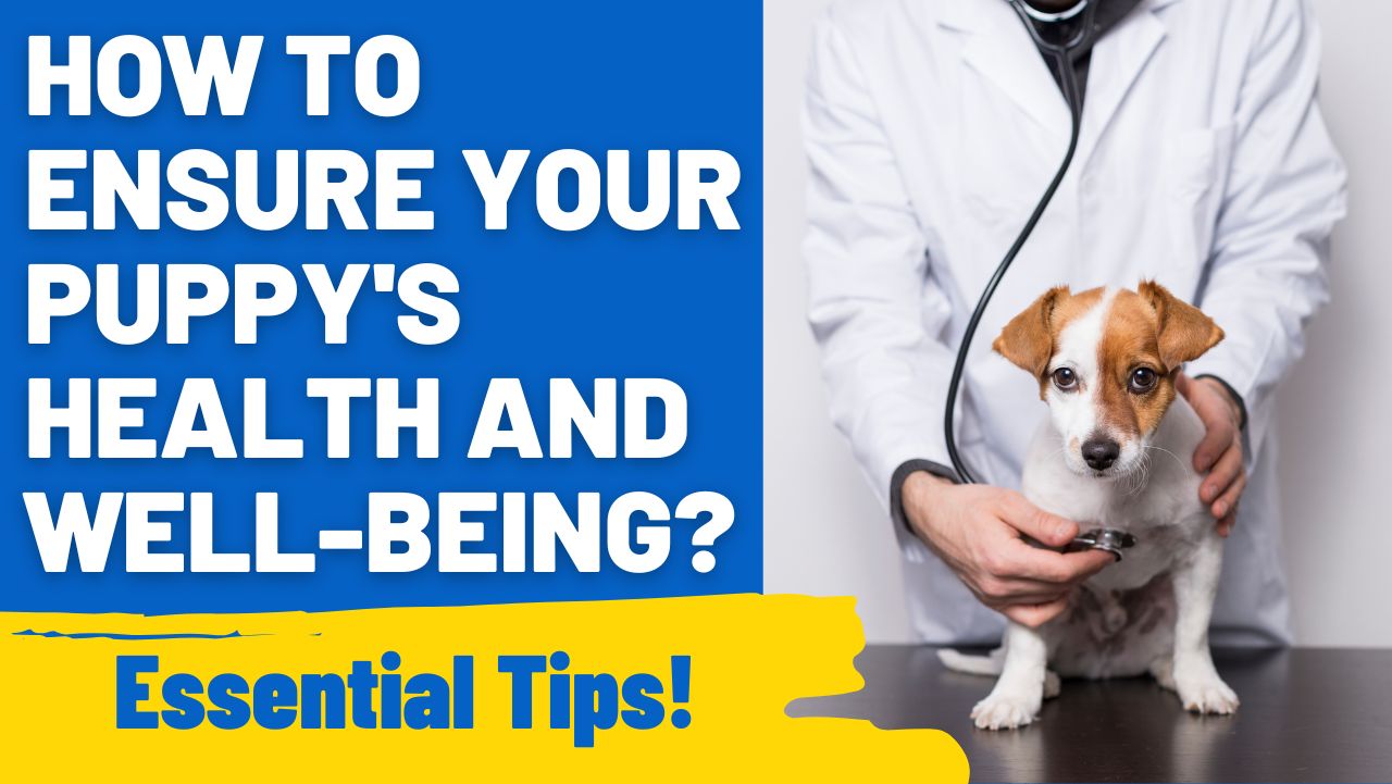 How to Ensure Your Puppy's Health and Well-being