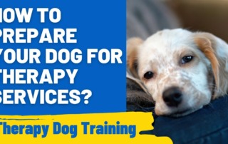 How to Prepare Your Dog for Therapy Services