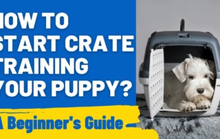 How to Start Crate Training Your Puppy