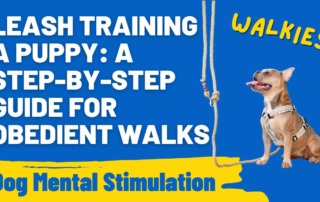 Leash Training a Puppy A Step-by-Step Guide for Obedient Walks
