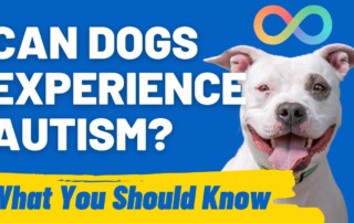 Can Dogs Experience Autism