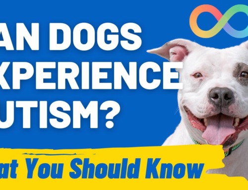 Understanding Canine Autism: Do Dogs Experience It?